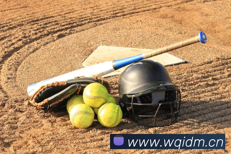 乐鱼在线登录入口网址平台生态图